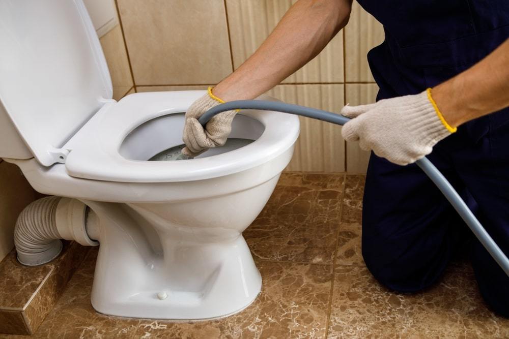 Toilet and Floor Drain Clearing